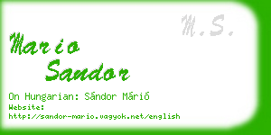 mario sandor business card